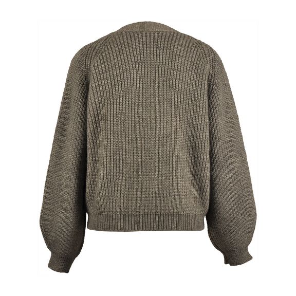 Femme Cardigan À Col En V Doux En Gris