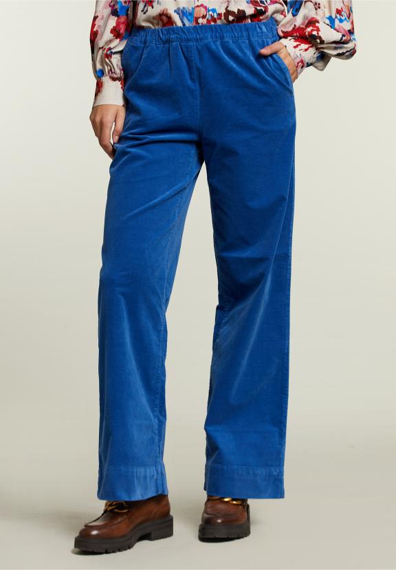 Blauwe Fluwelen Broek Met Elastische Band - Groen