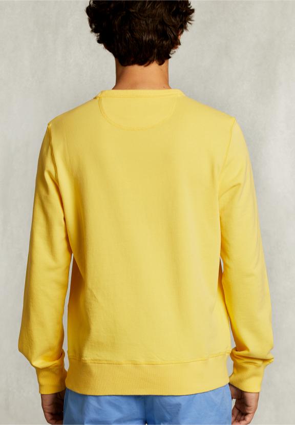 Slim Fit Crew Neck Sweater Butterfly - Jaune