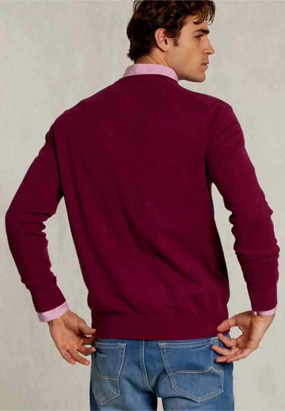 Normal Fit Basic Cotton V-Neck Pullover Cuberdon Mix - Paars